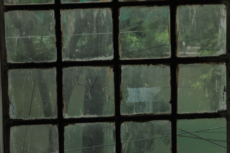 Traces de calcaire sur vitres en Haute-Savoie — auréoles et stries